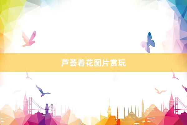 芦荟着花图片赏玩